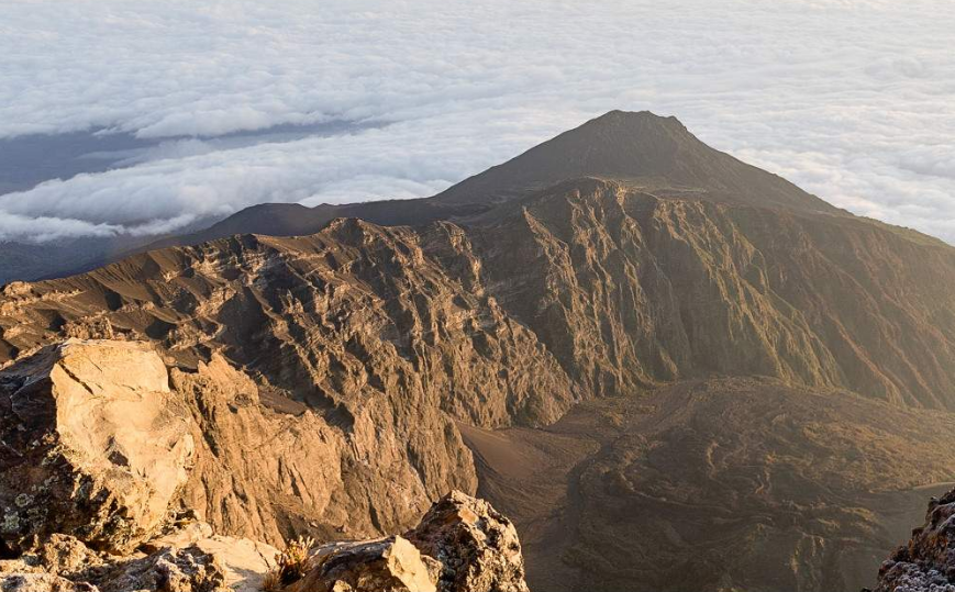 capture-20250317-121451